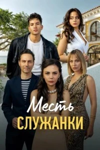 Месть служанки - постер